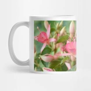 Fuchsia 'Princess Charlotte' Mug